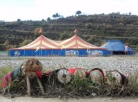 Festa del Tio al Circ a les Feixes