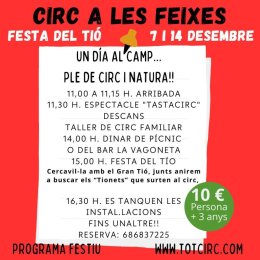 Programa Festa del Tió 25