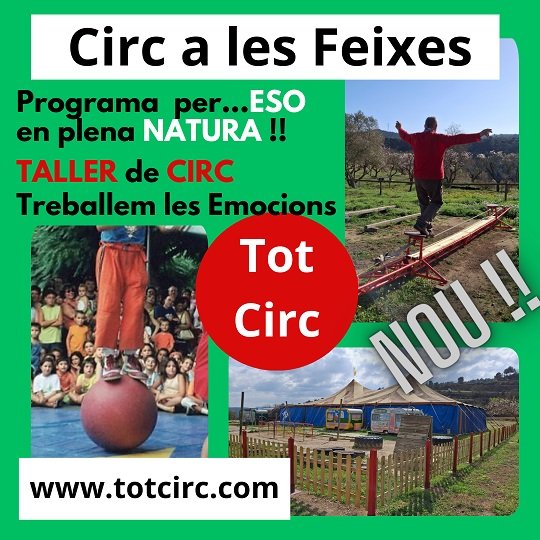 Activitat per ESO